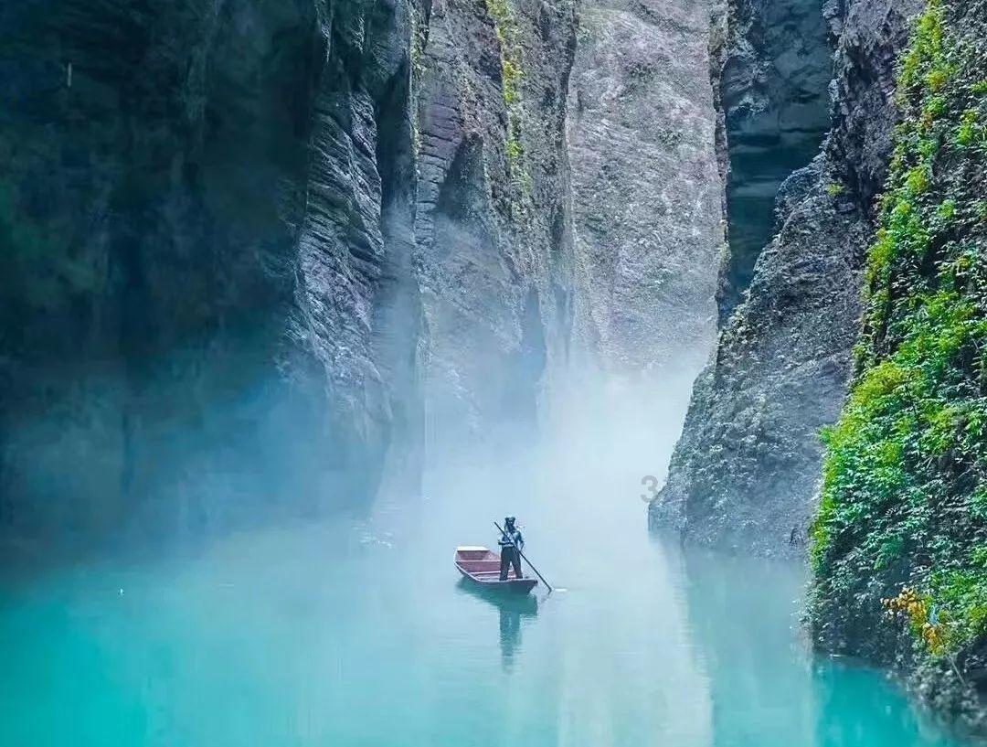 拯救铁笼中的小牛